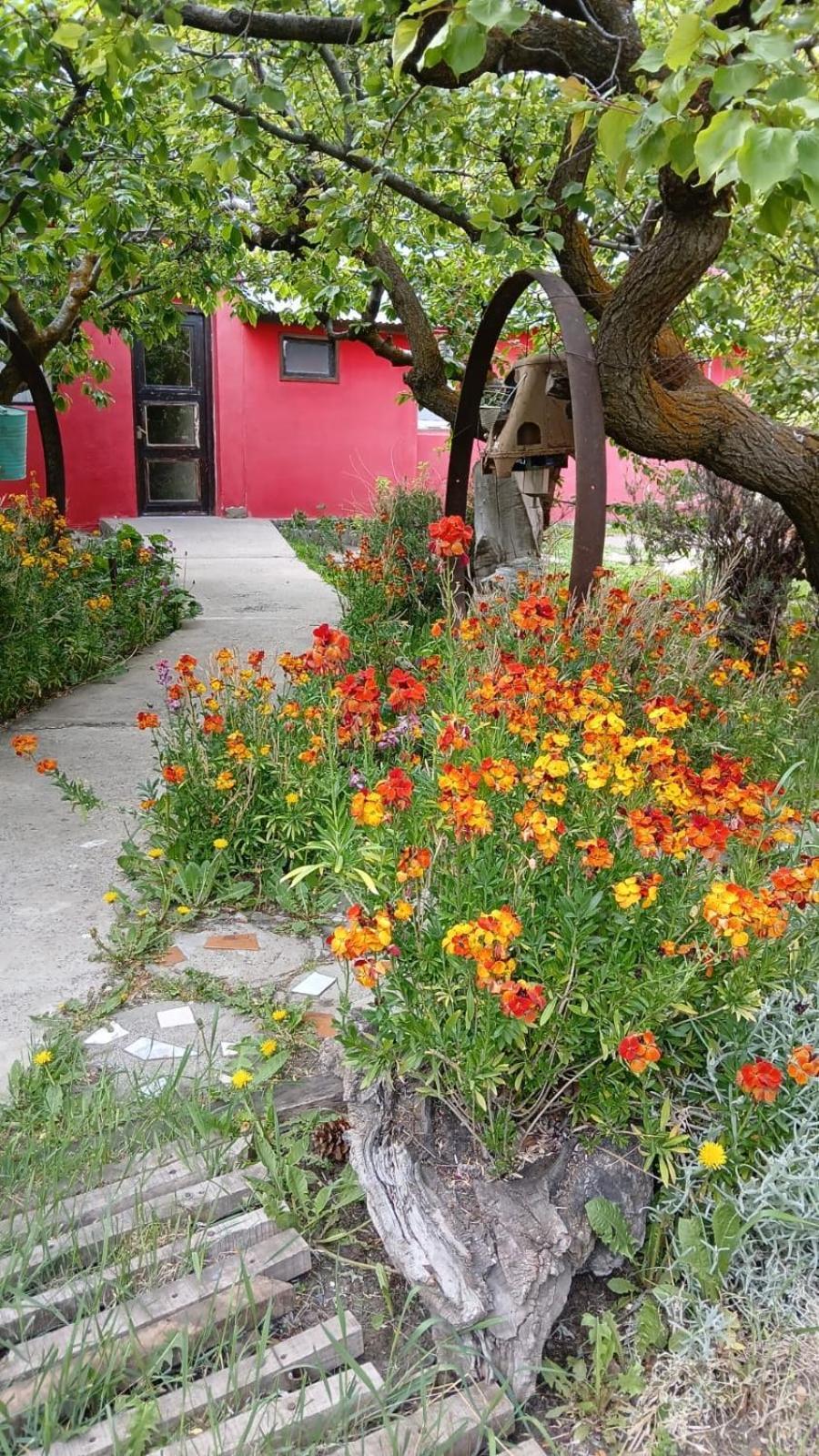 Calafate Viejo Hostel Ел Калафате Екстериор снимка
